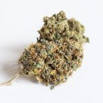 CBD e cannabis Light: Come ottenere un sollievo naturale