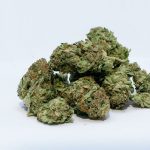 Dite addio al dolore cronico con l’Hashish Legale: un sollievo sicuro ed efficace senza effetti collaterali